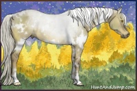 Horse Color:White Spotted Liver Red Dun Rabicano 