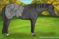 Horse Color:Painted Black Ice