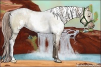 Horse Color:White Spotted Liver Red Dun Rabicano 
