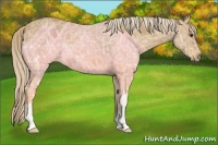 Horse Color:Palomino Ice 