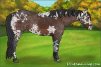 Horse Color:Brown Ice 