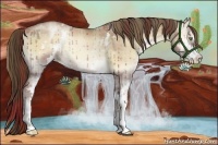 Horse Color:Plaid  White Spotted Liver Red Dun Pearl Onyx Sabino 