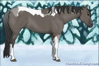 Horse Color:Smoky Grullo Tobiano