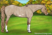 Horse Color:Red Dun Roan Splash Frame Rabicano 