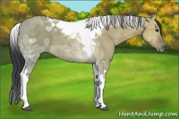 Horse Color:Brown Ice Dun Tobiano 