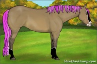 Horse Color:Painted Silver Bay Dun Sabino Splash 