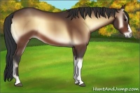 Horse Color:Brown Onyx 