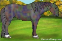 Horse Color:Nacre Black 