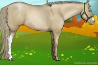 Horse Color:Liver Red Dun Pearl 