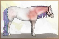 Horse Color:Painted Chocolate Palomino Roan Pearl Onyx Sabino Rabicano 