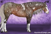 Horse Color:White Spotted Silver Brown Ice Splash Rabicano