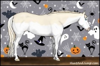 Horse Color:Perlino Dun Splash 