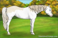 Horse Color:Smoky Creme Dun Splash
