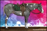 Horse Color:White Spotted Liver Chestnut Ice Sabino Splash Appaloosa Rabicano 