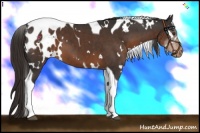 Horse Color:White Spotted Liver Chestnut Tobiano Varnish