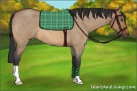 Horse Color:Bay Roan Dun 
