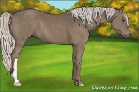 Horse Color:Silver Black 