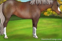 Horse Color:Chocolate Silver Brown 