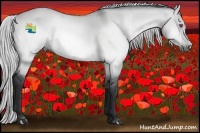 Horse Color:Silver Buckskin Chinchilla Dun 
