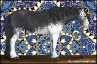 Horse Color:White Spotted Black 