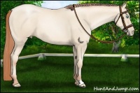 Horse Color:Classic Cream Champagne Pearl 