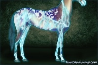 Horse Color:Thunderstruck Bay Onyx Sabino Appaloosa 