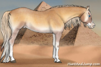 Horse Color:Palomino Roan Onyx Splash