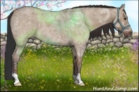 Horse Color:Bay Ice Roan Dun 