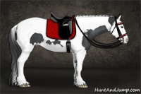 Horse Color:Smoky Black Chinchilla Splash Tobiano