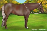 Horse Color:Chocolate Silver Brown 