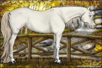 Horse Color:Smoky Creme Roan Dun 