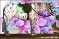 Horse Color:Brown Appaloosa  and Brown Appaloosa 