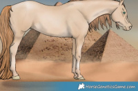 Horse Color:Smoky Black Pearl