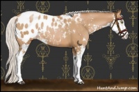 Horse Color:Silver Brown Pearl Sabino Blanket 