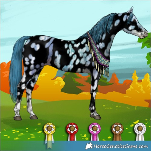 Horse Color:Void Watercolor Liver Chestnut Ice Tobiano Near Leopard 