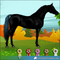 Horse Color:Void Watercolor Liver Chestnut Ice Tobiano Appaloosa 