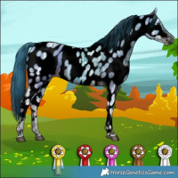 Horse Color:Void Watercolor Liver Chestnut Ice Tobiano Near Leopard 