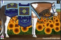 Horse Color:Bay Splash Appaloosa Rabicano 