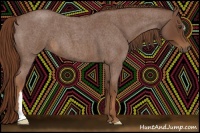 Horse Color:Red Roan