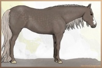 Horse Color:Silver Black 