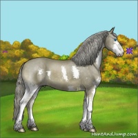 Horse Color:Chocolate Palomino Splash
