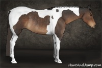 Horse Color:Liver Chestnut Tobiano Rabicano 