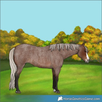 Horse Color:Gray Silver Bay Roan Splash  Brindle