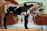 Horse Color:Red Dun Roan Sabino Splash Frame Rabicano 