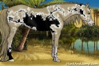 Horse Color:Watercolor Chestnut Frame 