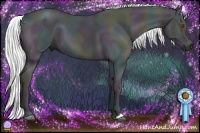 Horse Color:Midnight Liver Chestnut Chinchilla