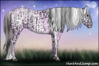 Horse Color:Black Ice and Black Ice Leopard