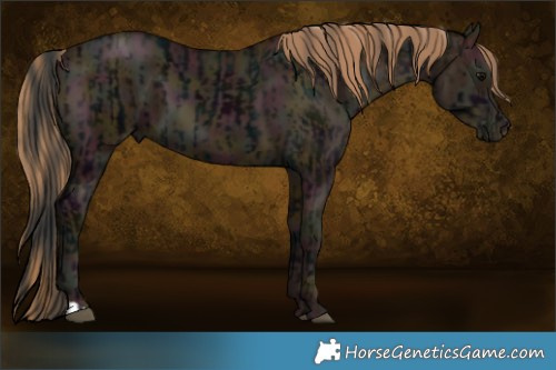 Horse Color:Midnight Black  and Midnight Black Pearl 