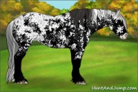 Horse Color:Brown Ice Sabino 