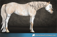 Horse Color:Palomino Roan Splash 